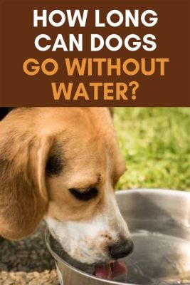 how long can a dog survive without food and water