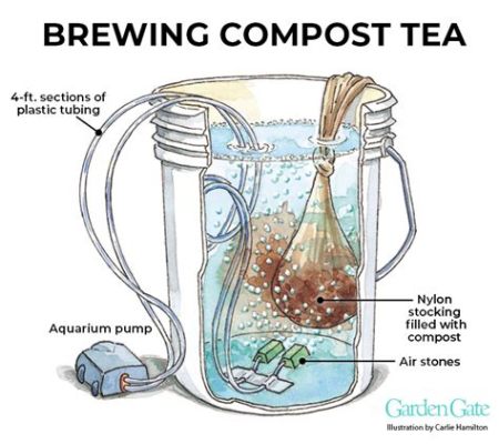 how long to brew compost tea: the art of fermentation and its endless possibilities